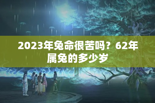 2023年兔命很苦吗？62年属兔的多少岁