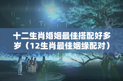 十二生肖婚姻最佳搭配好多岁（12生肖最佳姻缘配对）