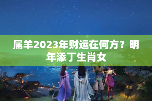 属羊2023年财运在何方？明年添丁生肖女