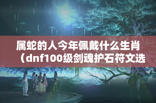 属蛇的人今年佩戴什么生肖（dnf100级剑魂护石符文选择）