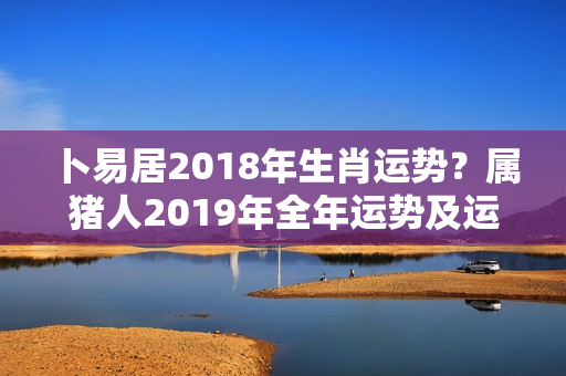 卜易居2018年生肖运势？属猪人2019年全年运势及运程