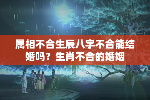 属相不合生辰八字不合能结婚吗？生肖不合的婚姻