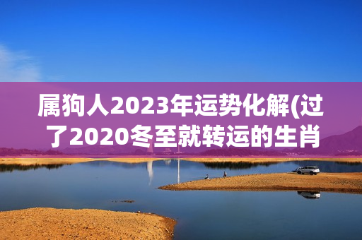 属狗人2023年运势化解(过了2020冬至就转运的生肖)