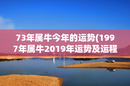 73年属牛今年的运势(1997年属牛2019年运势及运程)