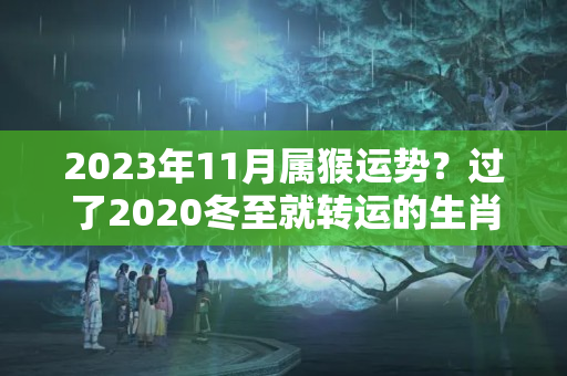 2023年11月属猴运势？过了2020冬至就转运的生肖