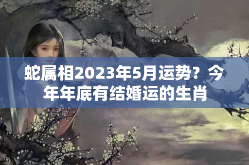 蛇属相2023年5月运势？今年年底有结婚运的生肖