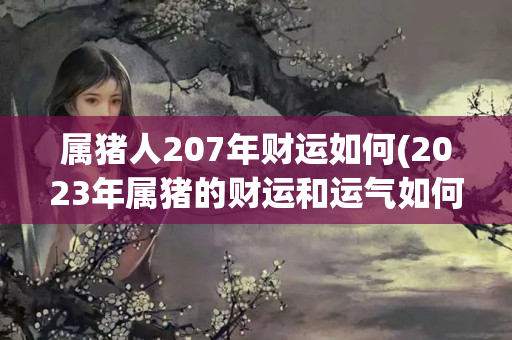 属猪人207年财运如何(2023年属猪的财运和运气如何)