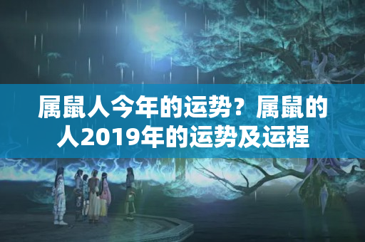 属鼠人今年的运势？属鼠的人2019年的运势及运程