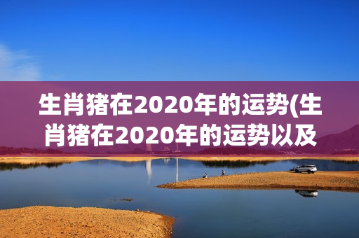 生肖猪在2020年的运势(生肖猪在2020年的运势以及注意月份)