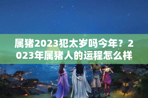 属猪2023犯太岁吗今年？2023年属猪人的运程怎么样