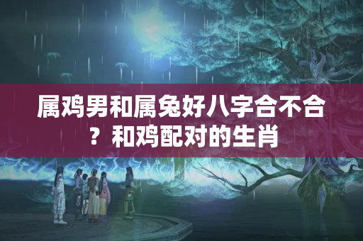 属鸡男和属兔好八字合不合？和鸡配对的生肖