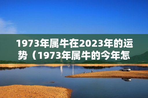 1973年属牛在2023年的运势（1973年属牛的今年怎么样）