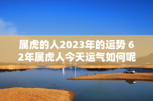 属虎的人2023年的运势 62年属虎人今天运气如何呢