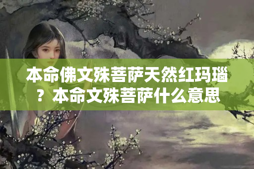 本命佛文殊菩萨天然红玛瑙？本命文殊菩萨什么意思