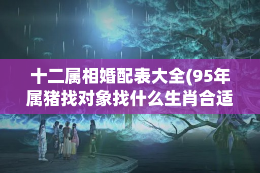 十二属相婚配表大全(95年属猪找对象找什么生肖合适呢)