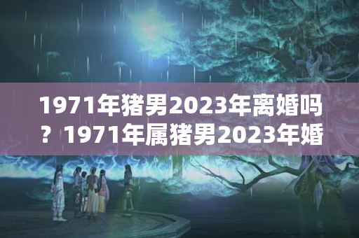 1971年猪男2023年离婚吗？1971年属猪男2023年婚姻如何