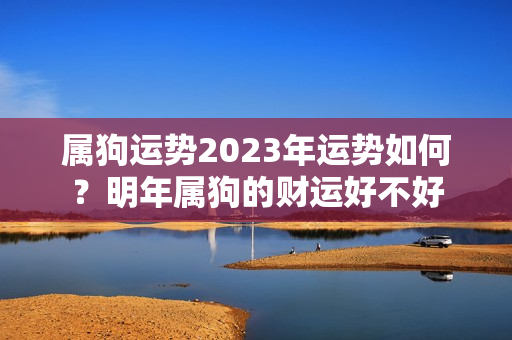 属狗运势2023年运势如何？明年属狗的财运好不好