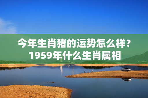 今年生肖猪的运势怎么样？1959年什么生肖属相