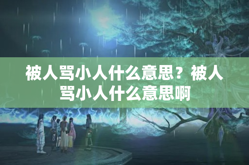 被人骂小人什么意思？被人骂小人什么意思啊