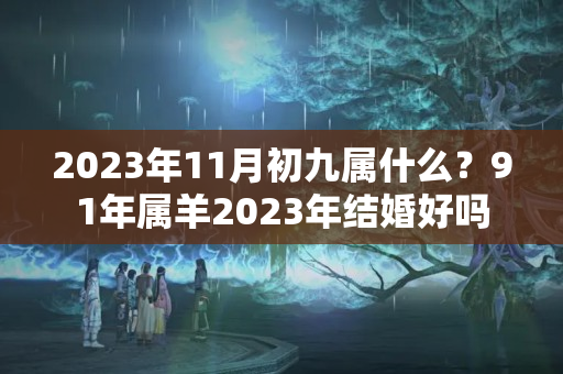 2023年11月初九属什么？91年属羊2023年结婚好吗