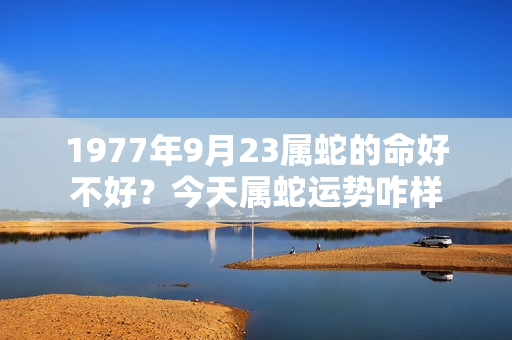 1977年9月23属蛇的命好不好？今天属蛇运势咋样