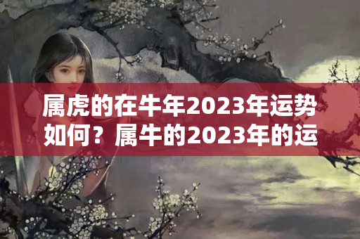 属虎的在牛年2023年运势如何？属牛的2023年的运势怎么样