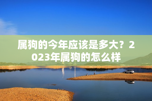 属狗的今年应该是多大？2023年属狗的怎么样