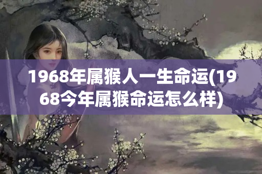 1968年属猴人一生命运(1968今年属猴命运怎么样)