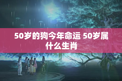 50岁的狗今年命运 50岁属什么生肖