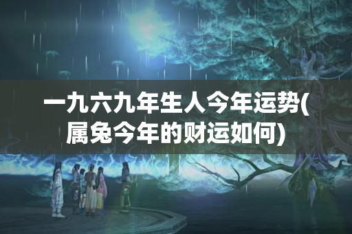 一九六九年生人今年运势(属兔今年的财运如何)