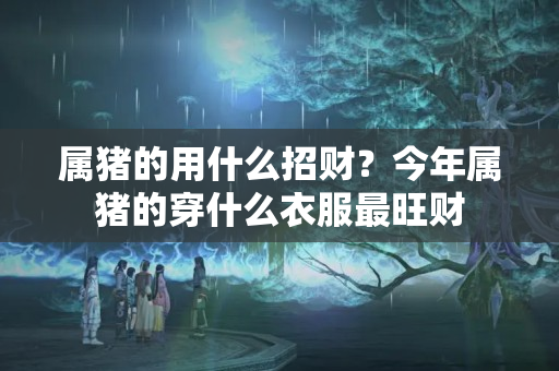 属猪的用什么招财？今年属猪的穿什么衣服最旺财