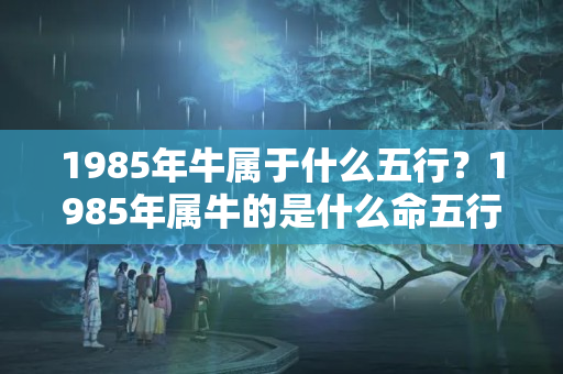 1985年牛属于什么五行？1985年属牛的是什么命五行属什么