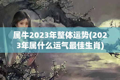 属牛2023年整体运势(2023年属什么运气最佳生肖)