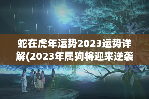 蛇在虎年运势2023运势详解(2023年属狗将迎来逆袭)