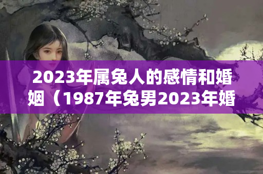 2023年属兔人的感情和婚姻（1987年兔男2023年婚姻）