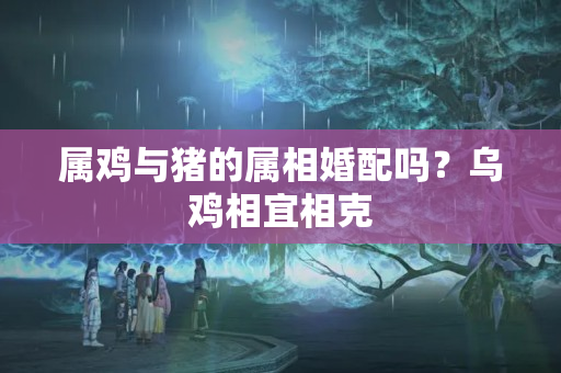 属鸡与猪的属相婚配吗？乌鸡相宜相克