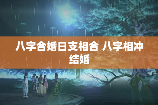 八字合婚日支相合 八字相冲结婚