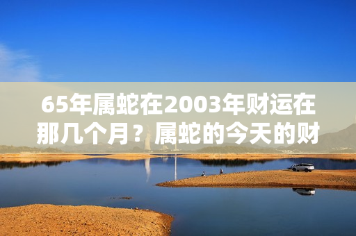 65年属蛇在2003年财运在那几个月？属蛇的今天的财运如何