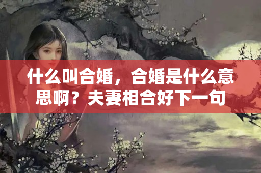 什么叫合婚，合婚是什么意思啊？夫妻相合好下一句