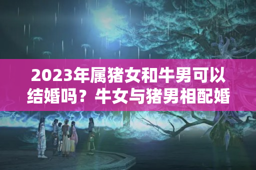 2023年属猪女和牛男可以结婚吗？牛女与猪男相配婚姻幸福吗