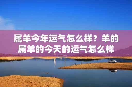 属羊今年运气怎么样？羊的属羊的今天的运气怎么样