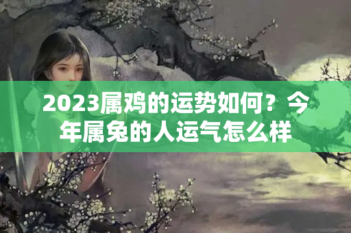 2023属鸡的运势如何？今年属兔的人运气怎么样