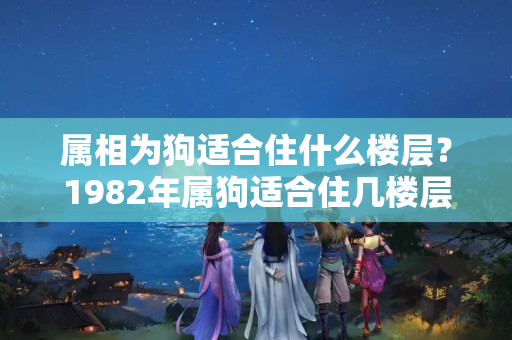 属相为狗适合住什么楼层？1982年属狗适合住几楼层