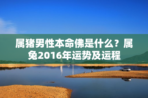 属猪男性本命佛是什么？属兔2016年运势及运程