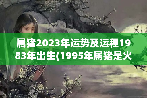 属猪2023年运势及运程1983年出生(1995年属猪是火命还是土命)