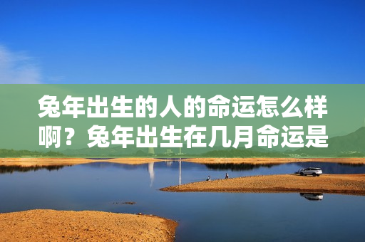 兔年出生的人的命运怎么样啊？兔年出生在几月命运是最好的