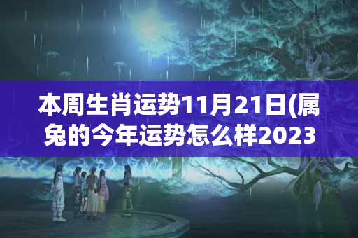 本周生肖运势11月21日(属兔的今年运势怎么样2023)