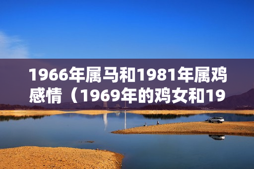 1966年属马和1981年属鸡感情（1969年的鸡女和1966年的马）