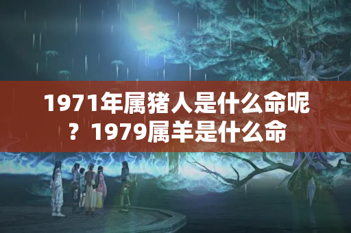 1971年属猪人是什么命呢？1979属羊是什么命