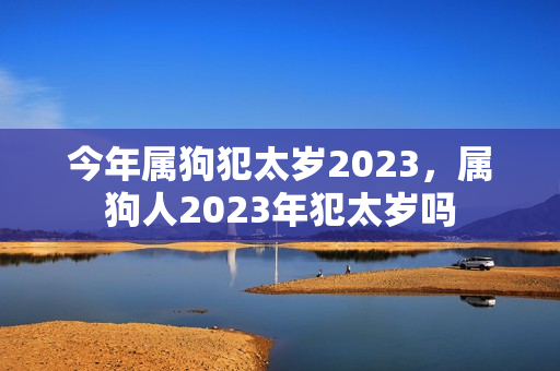 今年属狗犯太岁2023，属狗人2023年犯太岁吗